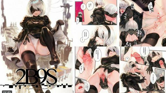 2B9S