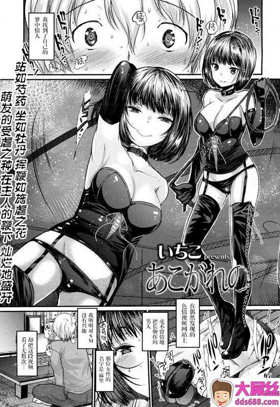 いちこあこがれのガールズフォームVol.15中国翻訳DL版