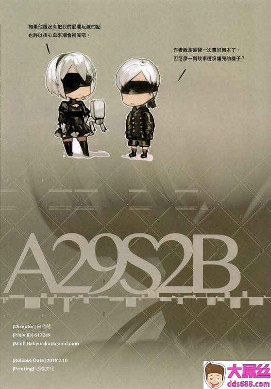 A29S2B